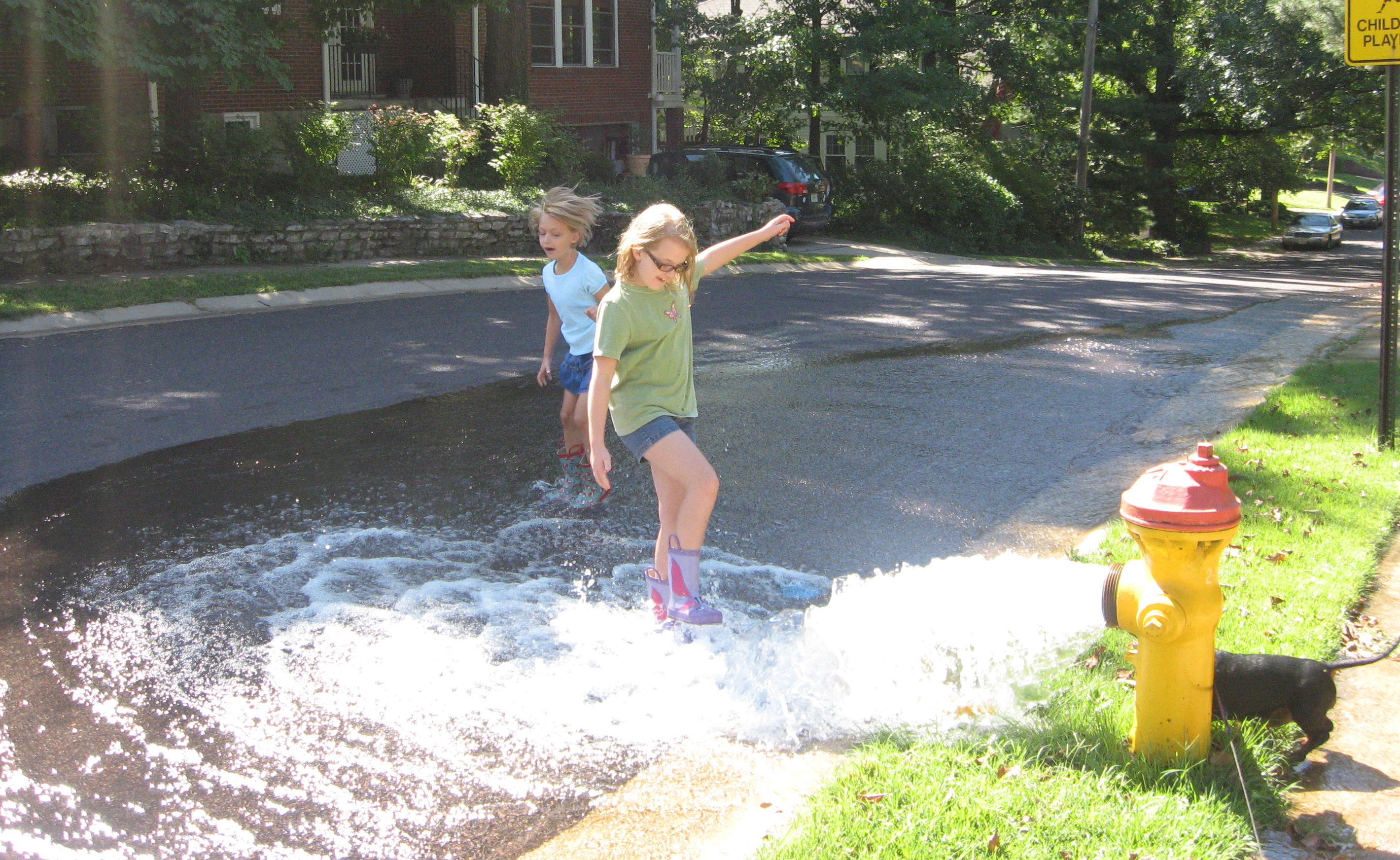 2010_09_05 Hydrant Splashing.jpg